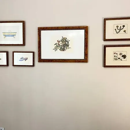 Magnifico Con Encanto En El Centro Apartment