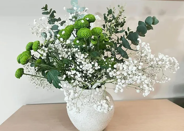 Magnifico Con Encanto En El Centro * 桑坦德